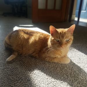 Meet your Posher, Jenny